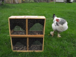 I'm in the business of bees...