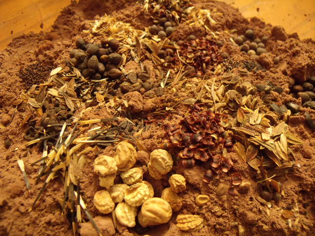 Making seed bombs
