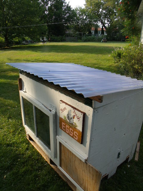 Hen house from a shipping crate