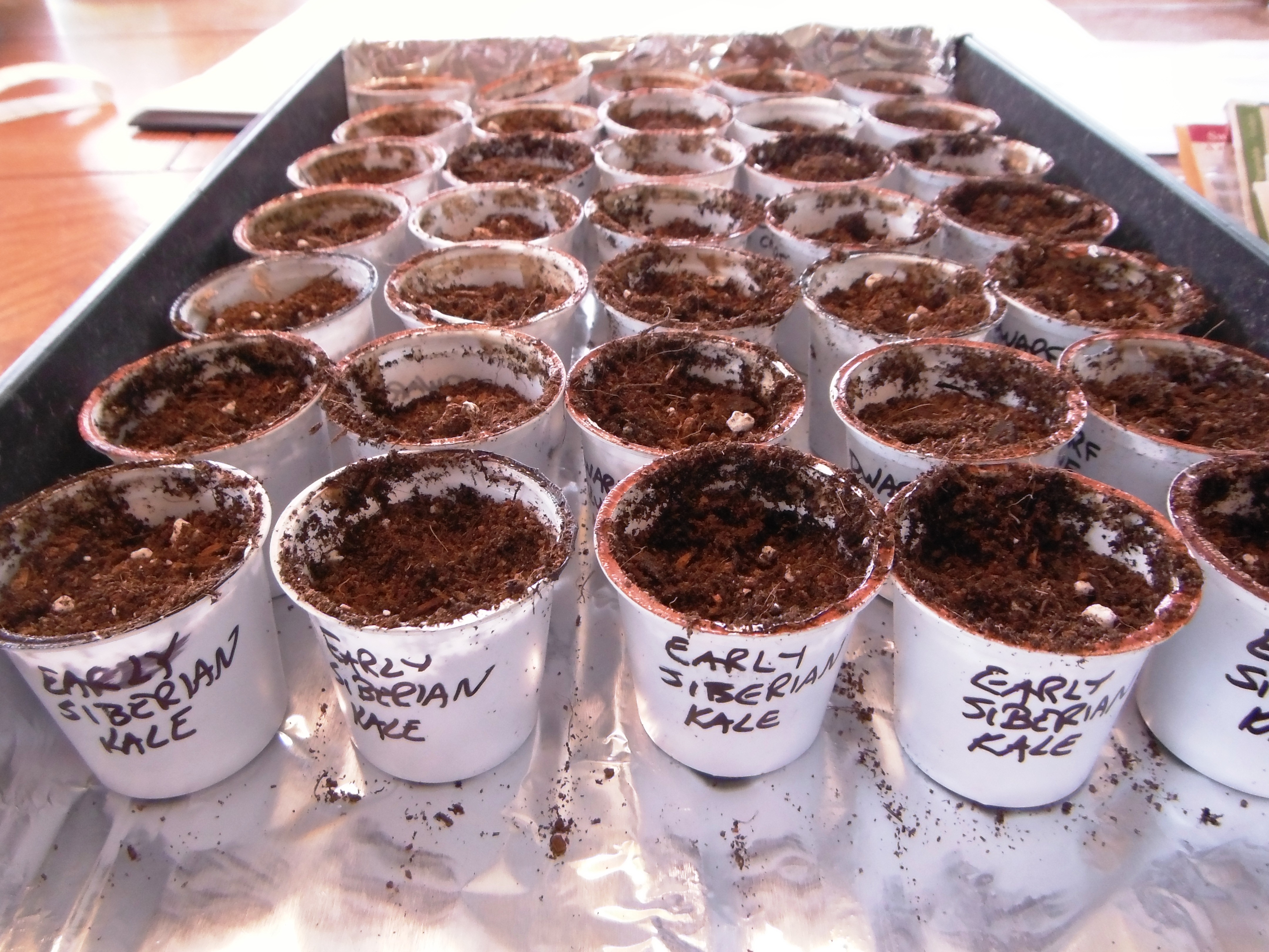 Make 19: recycling K cups